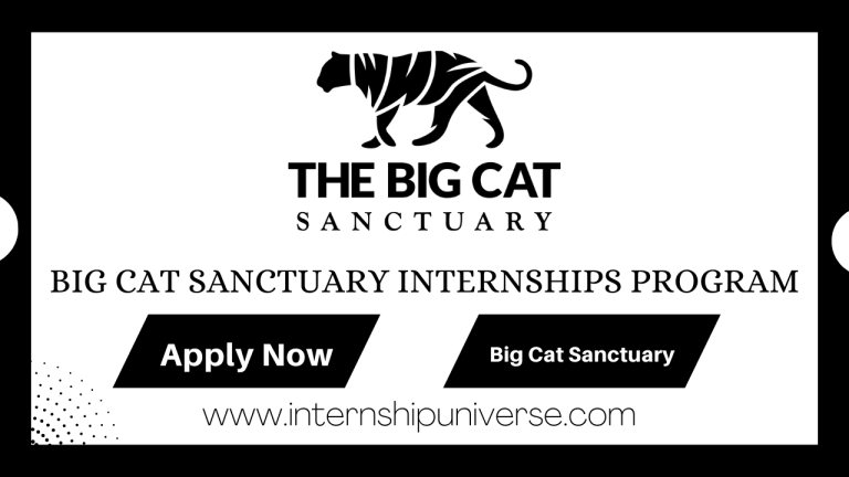 Big Cat Sanctuary Internships Program