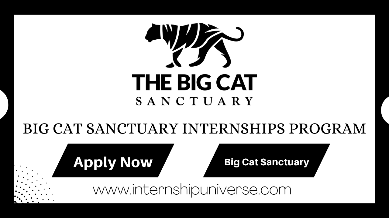 Big Cat Sanctuary Internships Program