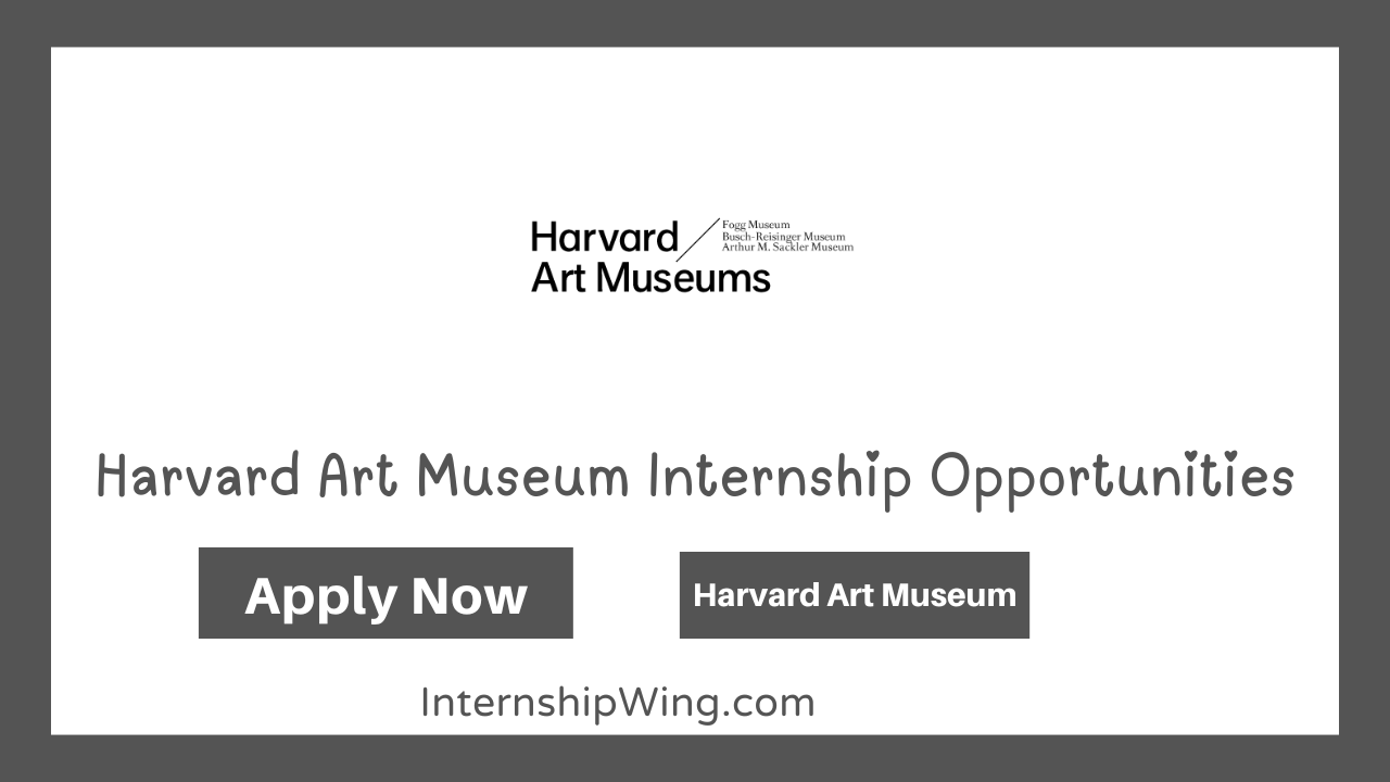 Harvard Art Museum Internship Opportunities