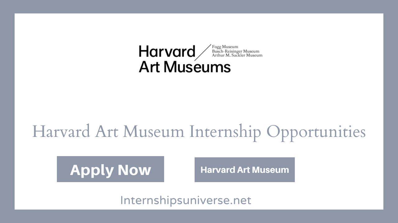 Harvard Art Museum Internship Opportunities
